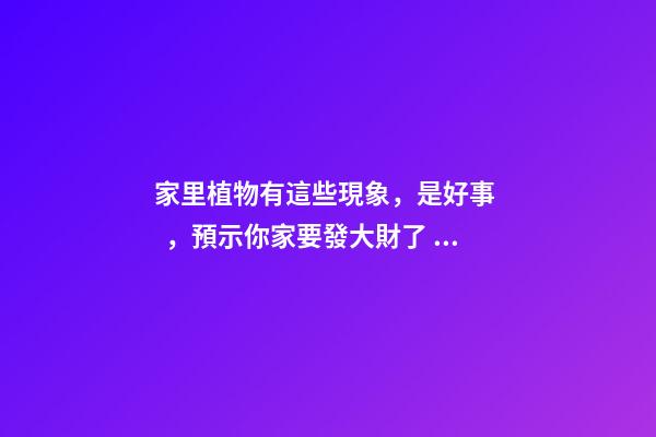 家里植物有這些現象，是好事，預示你家要發大財了！